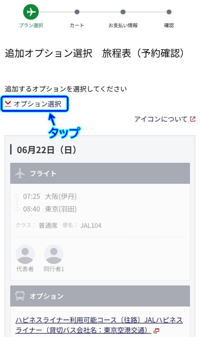 オプション追加申込画面